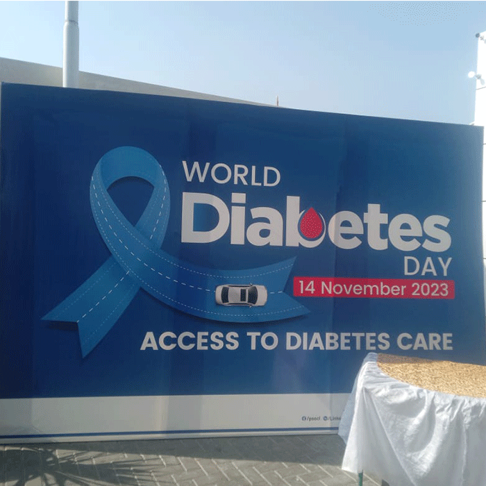 PSO Flex Printing Project